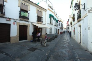 sportograf-23631115