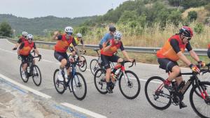 IMG-20250615-WA0156