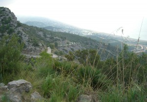 CIMG1580