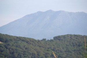 P1360696