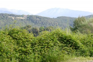 P1360697