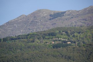 P1360853
