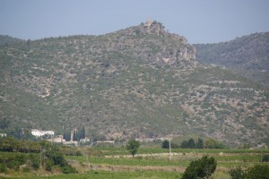 P1480678