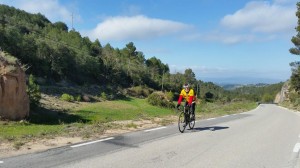 20160410_103906 (Copy)
