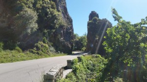 20160619_100826 (Copy)