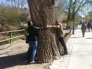 IMG_20190310_120032