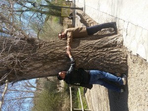 IMG_20190310_120036
