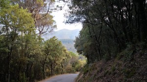 Campins por La Costa 07-07-2019
