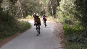 IMG_20190915_095300