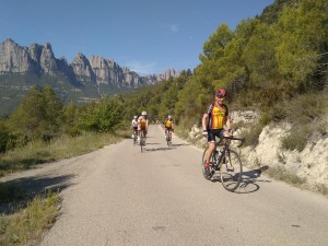 IMG_20190623_100632 (Copy)