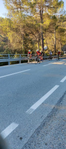 IMG-20231002-WA0081