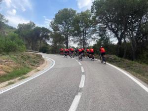 IMG-20250615-WA0005