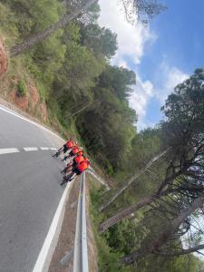 IMG-20250615-WA0007