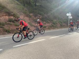 IMG-20250615-WA0017
