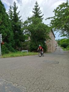 IMG-20250615-WA0024