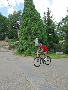 IMG-20250615-WA0025