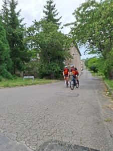 IMG-20250615-WA0032
