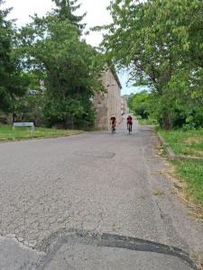 IMG-20250615-WA0034