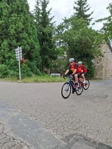 IMG-20250615-WA0036