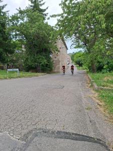 IMG-20250615-WA0037
