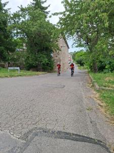 IMG-20250615-WA0038
