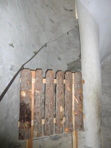 CIMG9877