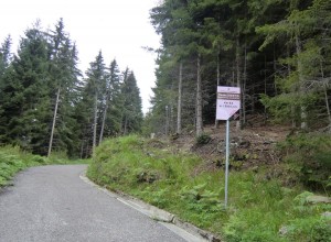 CIMG8817