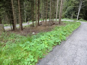 CIMG8821