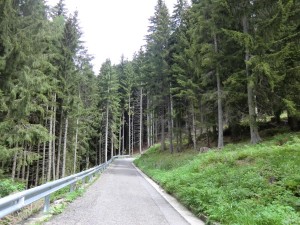 CIMG8823