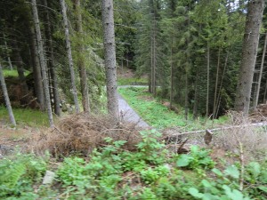 CIMG8830