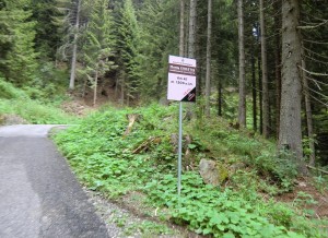 CIMG8832