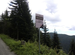 CIMG8834