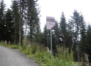CIMG8837