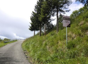 CIMG8841
