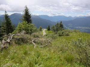 CIMG8850
