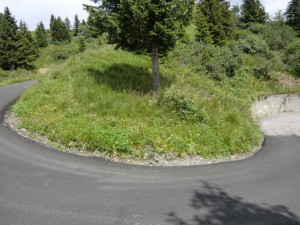 CIMG8851