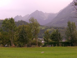 110