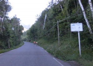 CIMG1509