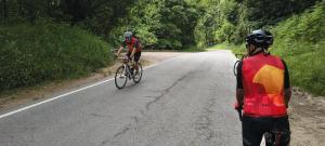 IMG-20250608-WA0010