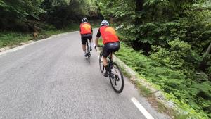 IMG-20250608-WA0033