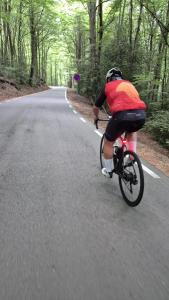 IMG-20250608-WA0037