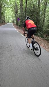 IMG-20250608-WA0038